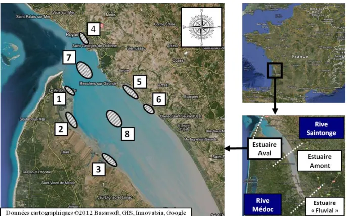 Figure 2 : Localisation des stations échantillonnées sur l’estuaire de la Gironde 