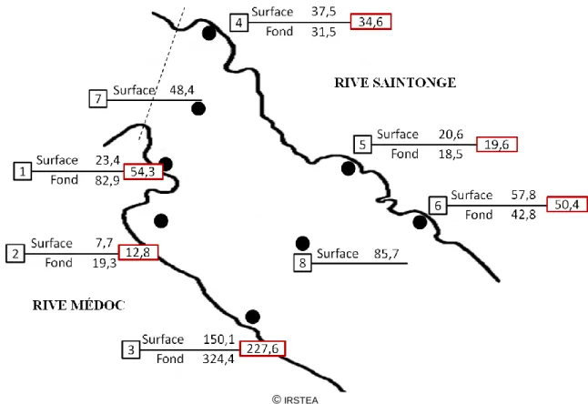 Figure 12 : Représentation cartographique des abondances moyennes de larves par station  (en larves/1000m 3 ) 