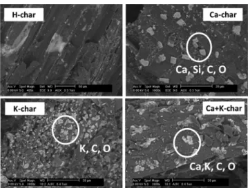 Figure 3. ESEM images of (A) H-char, (B) Ca-char, (C) K-char, and (D) Ca+K-char.