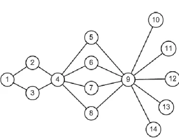 Figure  10.  Schéma  illustrant  un  réseau  de  14  taches  de  surface  équivalente  où  les  liens  sont  tels  que  p ij  =  0,5