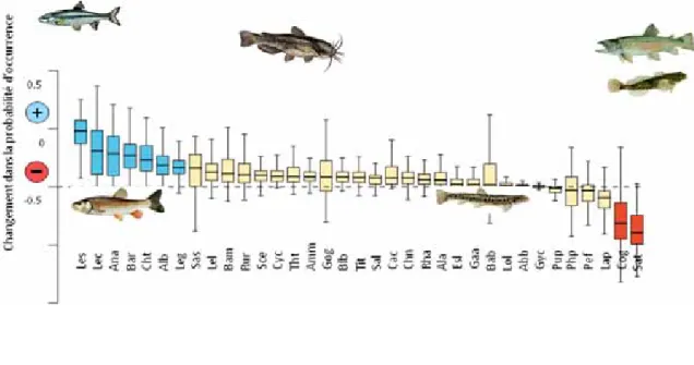 Figure 12 - Modélisation des changements de distribution de quelques espèces de poissons d’eau  douce en France à l’horizon 2080 selon A1FI (Buisson et al., 2008) 