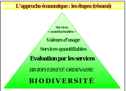 Figure 17 - Résumé des différentes restrictions du champ dans l’approche économique appliquée à  la biodiversité (CAS, 2009) 