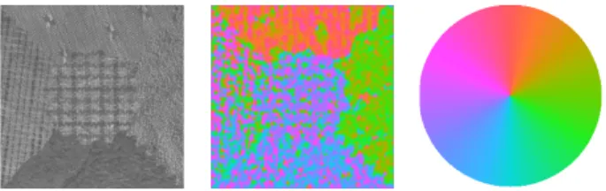 Fig. 10: A texture example of OutexSS and its orientation field.