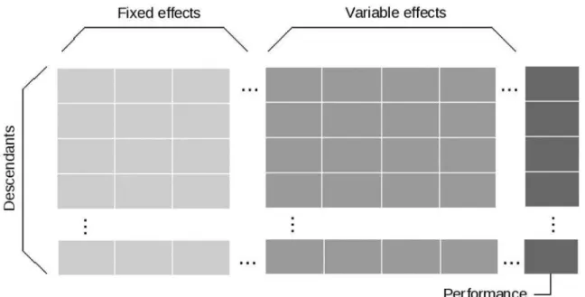 FIG. 2. Description of a contingency matrix used for computations at each genome position and for each simulation.