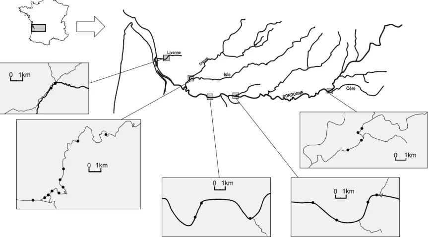 Figure 9 : Tronçons et sites d’échantillonnage (  •  ) en vue de la caractérisation des habitats larvaires