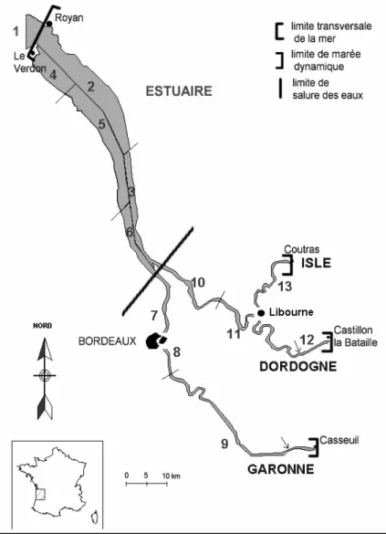 Figure  13  :  Sites  des  pêcheries  échantillonnées  dans  la  partie  basse du bassin de la Gironde et (flèches)  (2 à 13 zones de pêche; 