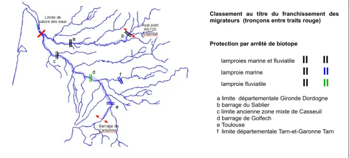 Figure 11 :  Cours d'eau des bassins Garonne Dordogne concernés réglementairement par les  lamproies marine et fluviatile 