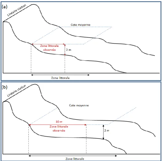 Figure 2 : représentation de la portion de zone littorale à cartographier – largeur délimitée par la  profondeur (a) et/ou la distance à la berge (b), d’après Alleaume et al