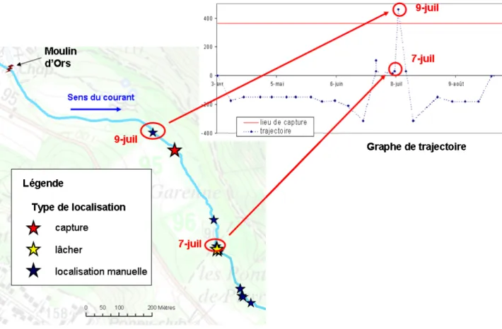 Figure 2.10 : Localisation spatiale hebdomadaire d’un poisson et graphe de trajectoire  correspondant 