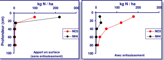 Figure 5 : Concentration d’azote minéral 40 jours après l’apport d’une boue à une dose  équivalente à 600 kg N / ha