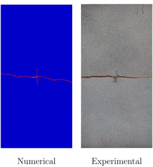 Figure 9: Comparison numerical/experimental of the fracture surfaces obtained after fatigue tension on impacted samples of configuration G0G0