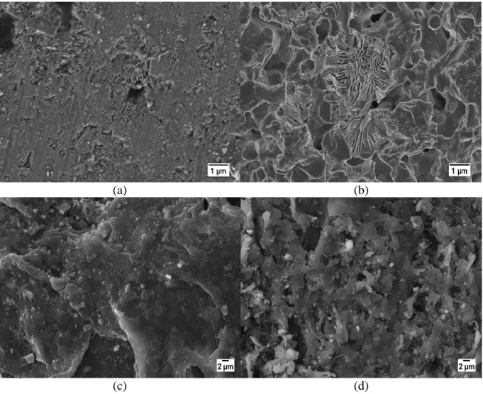 Figure 11: SEM micrographs of the BCP1 surface (a) from the scaffold immersed during 11  days and (b) the scaffold immersed for 17 days; of the PCL/BCP3 surface from (c) the 