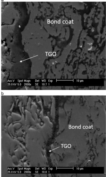 Fig. 11.SEM image of cracked specimens, following 300 hour oxidation at 1050 °C (a) and 300 hour oxidation at 1100 °C (b).