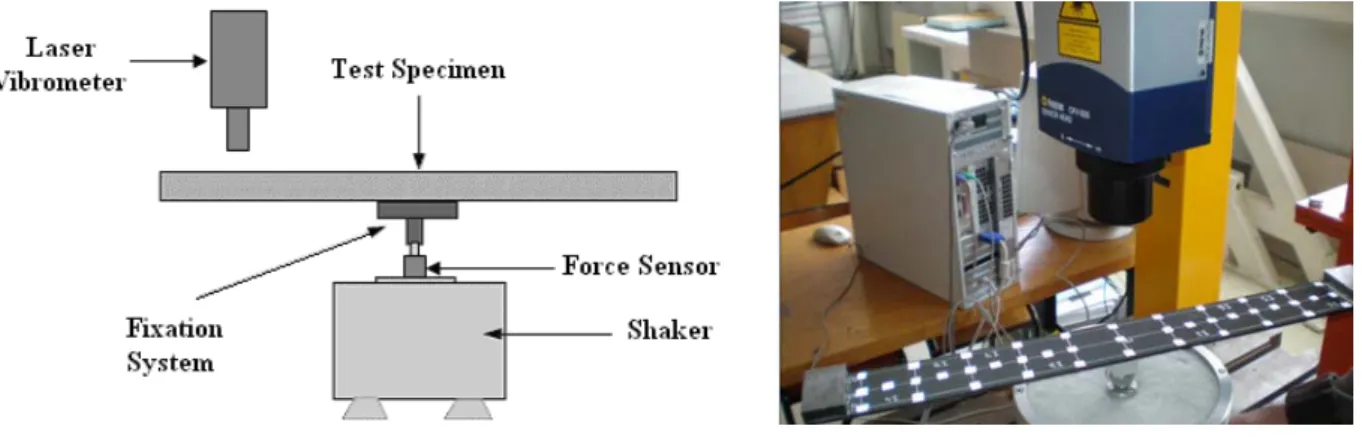 Figure 1 Diagram of the experimental set-up for the vibration tests 