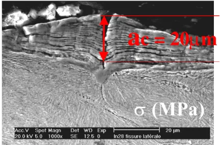 Figure 4  SEM image of stratified micro crack 