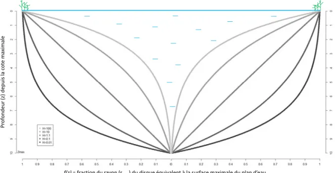 Figure 3. Coupe verticale de la cuvette d’un plan d’eau théorique de profondeur maximale égale à 10, selon  différentes valeurs du paramètre de développement hypsographique H d  de Johansson et al