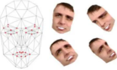 Fig. 1. Candide-3 and some sample synthesized images.