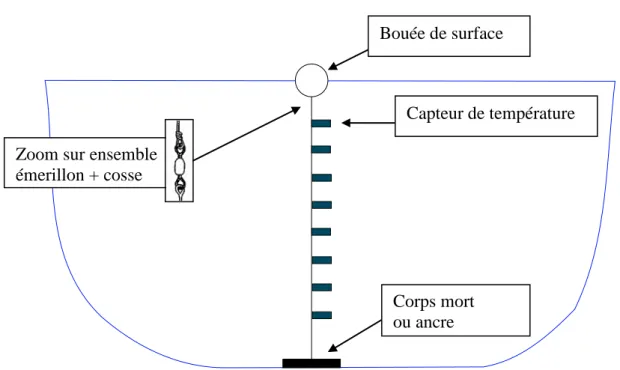Figure 1 : Ligne de mouillage simple avec flottabilité de surface   Bouée de sub-surface  Capteur de température Corps mort  ou ancre Bouée de surface 