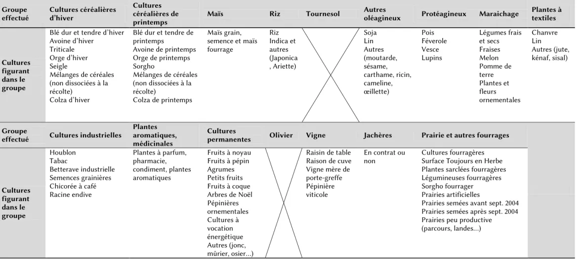 Tableau 2 : Regroupement des cultures selon des critères agronomiques (source personnelle)  Groupe 