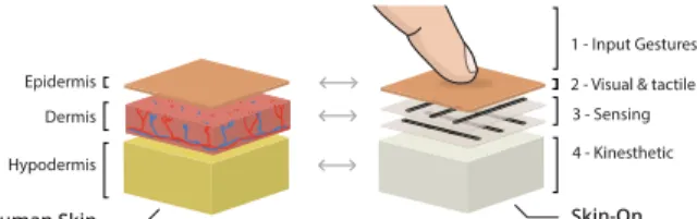 Figure 2. Our goal is to replicate the three layers of the human skin: