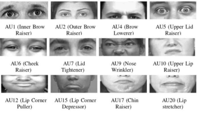 Figure 1: Facial Action Unit locations, images are obtained from http://www.cs.cmu.edu/˜face/facs.htm