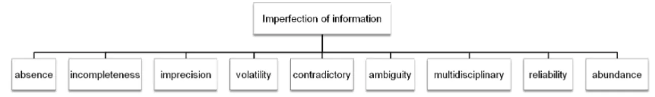 Figure 1: Typology of imperfection of information