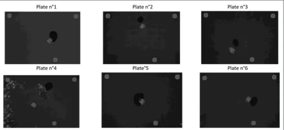Figure 16. Damage localization maps (RMSD indices) overlaid on Ultrasonic C-scan maps for plate nos 1–6