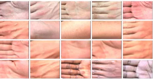Fig. 3. A representation of different human skin color variations