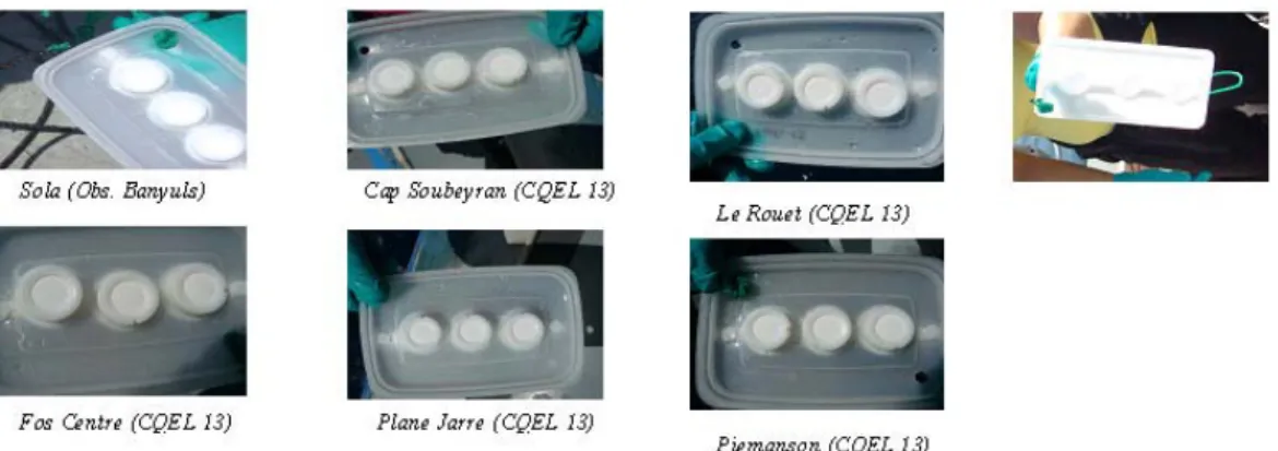 Figure 11 : Exemples de l'état de surface de DGT après immersion (de l'ordre de 48 h) dans  différentes stations (Gonzalez et al, 2009)