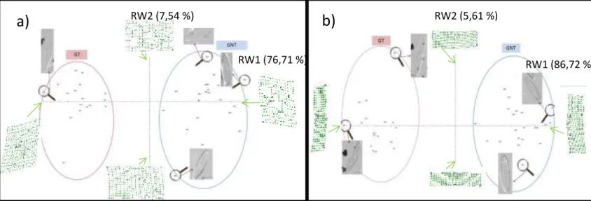 Figure 6 : TPS représentant la variation de forme entre GNT et GT sur 37 individus avec l’utilisation de (a) 12 points- points-repères puis (b) 6 points-points-repères* 1   