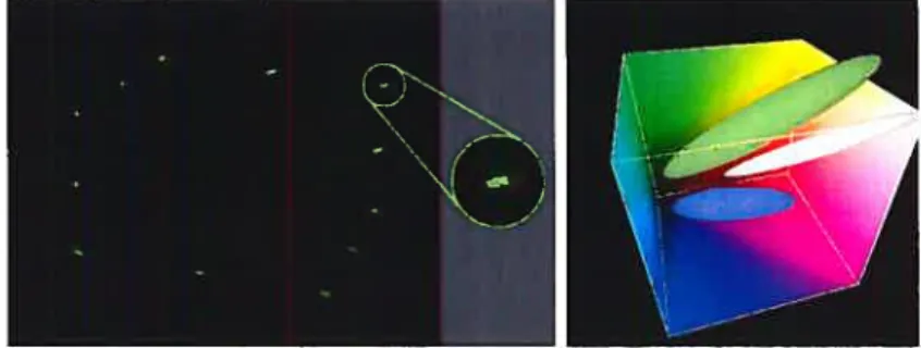 FIG. 4.11 — Gauche: une image prise en prétraitement pour analyser la distribution des points de calibration verts