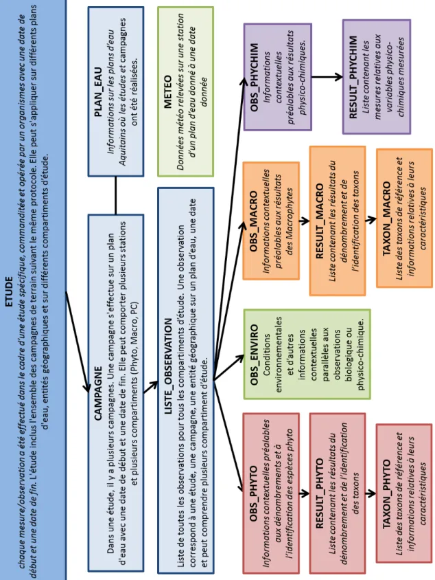 Figure 3 : structure simplifiée de la base de données Lacs Aquitains 