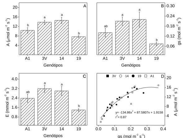 Figura  1. Taxas  de  (A)  fotossíntese  líquida  (A),  (B)  condutância  estomática  (gs),  (C)  transpiração  (E)  e  (D)  a  relação  A/gs em genótipos de Coffea canephora cv