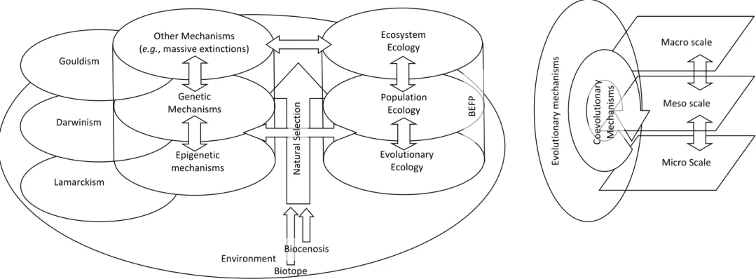 Figure 2: Coevolution paradigmatic fragmentation in Biology: Main connections between evolutionary, ecological and, genetic paradigms  (Adapted from Parisot et al., 2018)