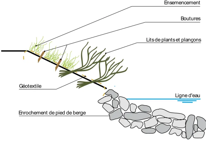 Figure 6 : Représentation d’un aménagement caractéristique du type « Mixte » 