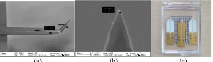 Fig. 1 (a) Scanning electron image of the cantilever (probe 25Pt300D). (b)  Zoom of the apex size with measured diameter around 26 nm