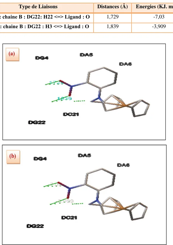 Figure 16 : Distances exprimées en Å (a) et énergies exprimer par Kcal. mol -1  (b) des liaisons  hydrogènes formées entre le 2FMNA et de l'ADN