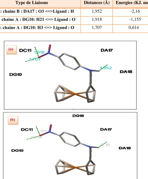 Figure 20 : Distances exprimées en Å (a) et énergies exprimer par Kcal. mol -1  (b) des liaisons  hydrogènes formées entre le 4FMNA et de l'ADN