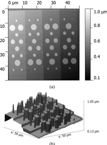 Fig. 2.  NSMM topography image in (a) 2D view and (b) 3D  view.  