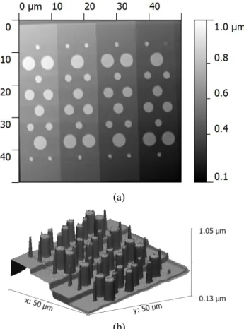 Fig. 2.  NSMM topography image in (a) 2D view and (b) 3D  view.  
