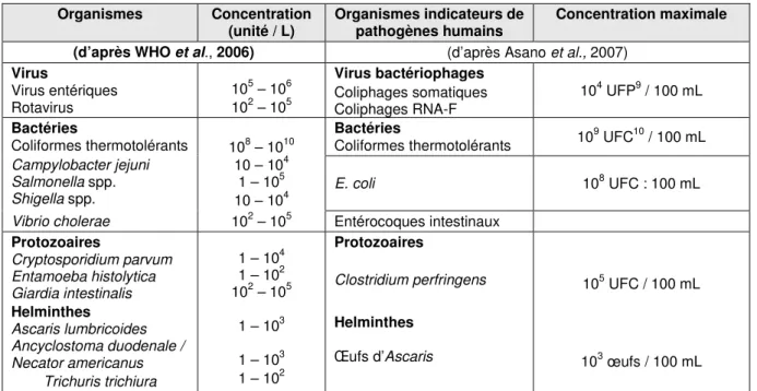 Tableau I-7: Composition microbiologique d’une eau résiduaire urbaine « classique »  Organismes  Concentration 