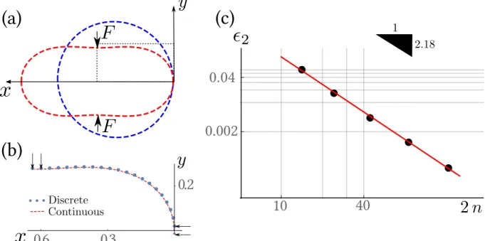 Figure 8.1: Validation for a pinched Elastica in 2D. (a) Undeformed (blue) and deformed (red) configurations of a circular Elastica (with initial radius R = 0.4933) subject to a pinching force F (with 2 L E I2 F