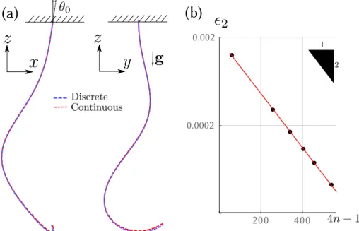 Figure 8.3: Curly hair under gravity. Beam having natural curvature κ nat L = 8.4, an isotropic bending modulus E I = 1, a torsion modulus µ J = 0.5 and a lineic weight w, with E I κw 3