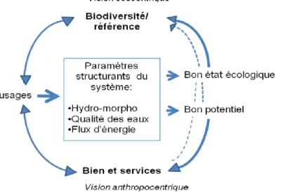 Figure 6 : Démarches écocentrique et anthropocentrique du bon état et du bon potentiel écologiques 