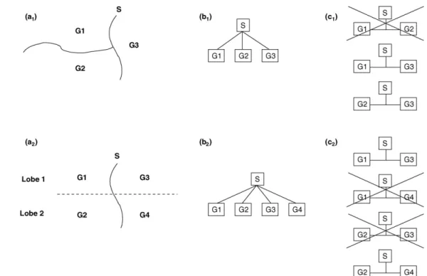 Figure 2 Taxonomical hierarchy of the mereological relationships used for brain—cortex anatomy