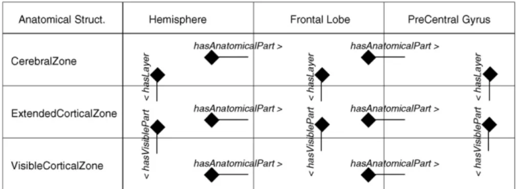 Figure 5 Dependencies between the mereological hierarchy of anatomical structures and that of their spatial extensions