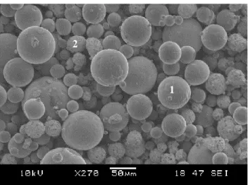 Fig. 1. SEM morphology of a mixture of the as-received powders  M30C: M (1), C (2) 