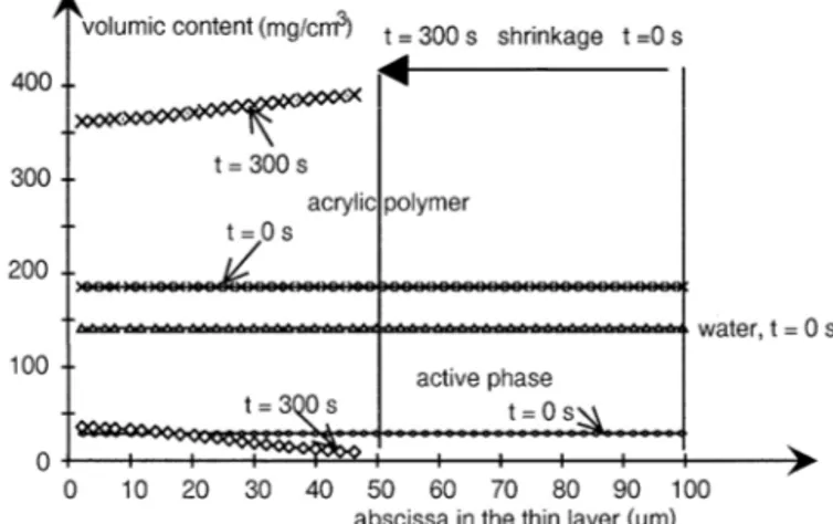 Fig. 7. Volumic contents of the water, active phase and polymer during drying of a 100 m m thick coating under Short Infra Red drying process
