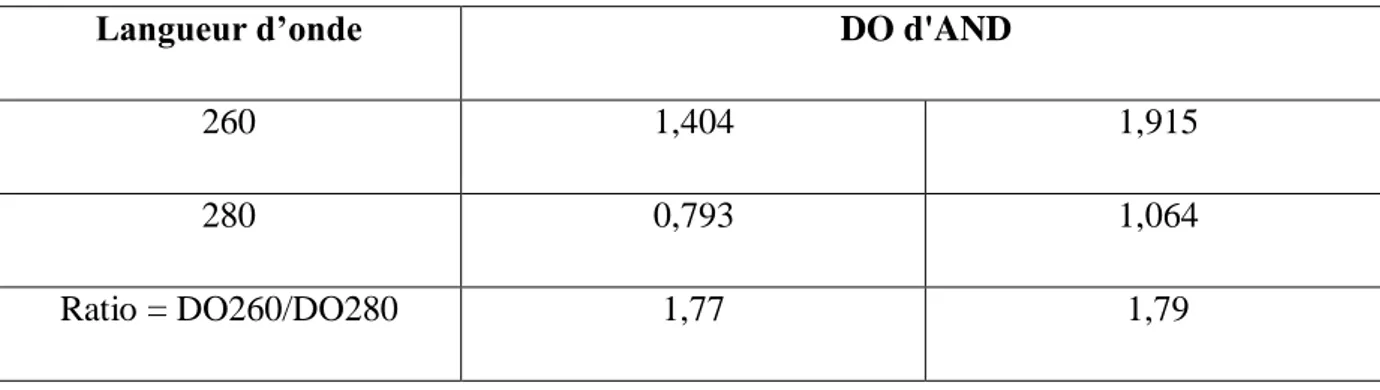 Tableau 04 : Représentation des résultats des ratios DO260/DO280 des échantillons  d'ADN extrait à partir de leucocytes