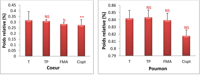 Figure 39 : Poids relatif des organes (cœur et poumon) chez les différents groupes  expérimentaux